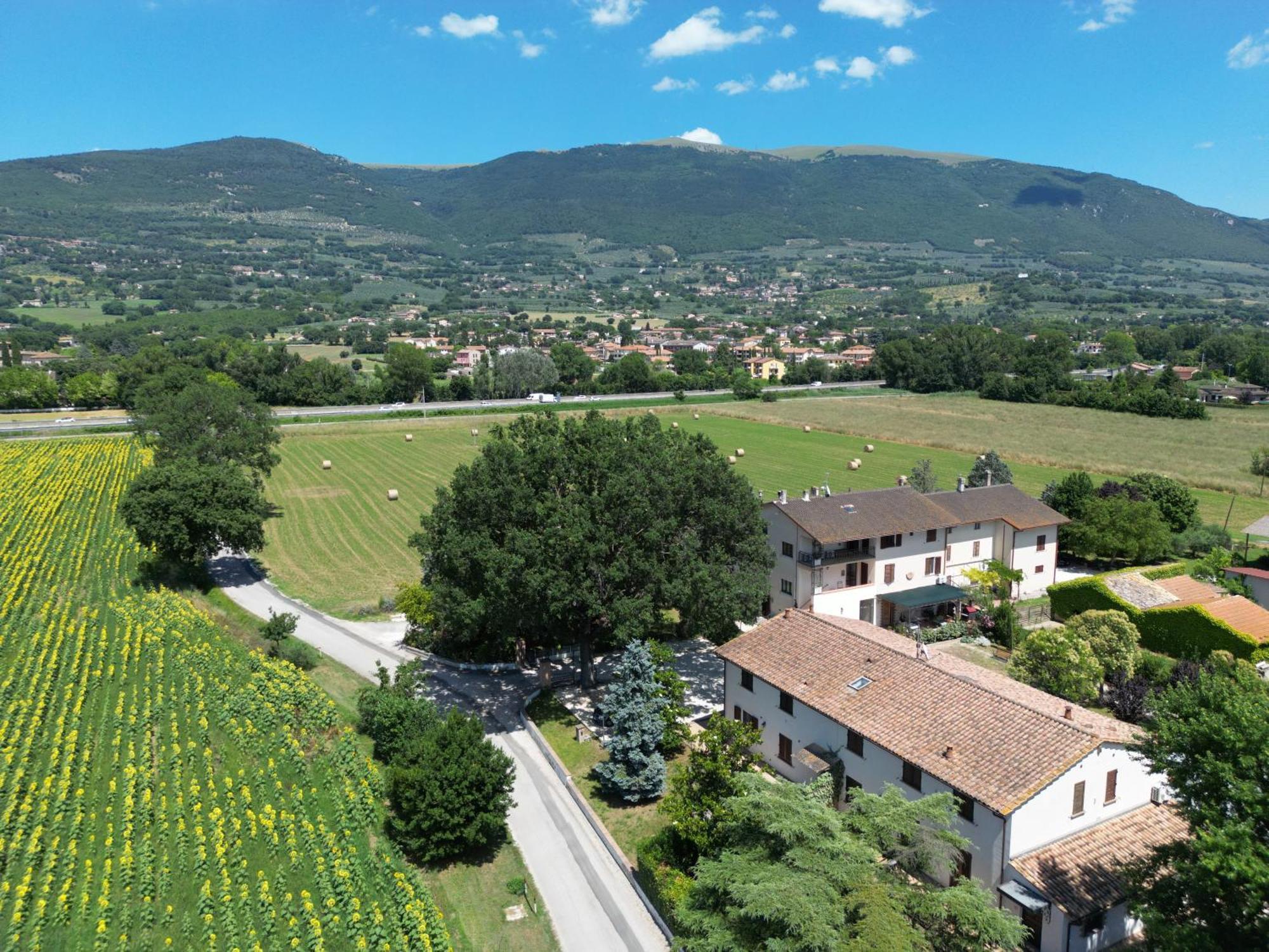 ריווטורטו Il Quercione Agriturismo מראה חיצוני תמונה